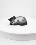 Liggende kat met as hartje